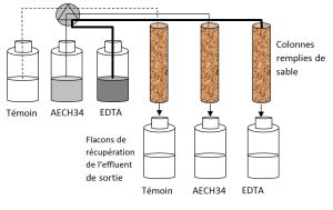 3 compartiments Témoin/AECH34/EDTA dont le contenu passe dans des colonnes remplies de sable puis récupéré dans des flacons de récupération de l'effluent de sortie.