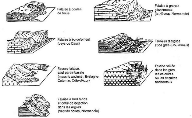 Il y a 7 types de profils de falaises : La falaise à coulée de boue ; La falaise à écroulement (pays de Caux) ; La fausse falaise, sauf partie basale (massifs anciens : Bretagne, Cotentin, Côte d'Azur) ; La falaise à Bad Lands et cône de déjection dans les argiles (Vaches noires, Normandie) ; La falaise à grands glissements (la Hèvres, Normandie) ; Les falaises d'argiles et de grès (Boulonnais) ; La falaise taillée dans les grès, les calcaires ou les basaltes horizontaux.