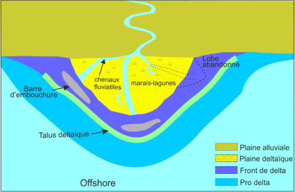 Un dela est composé de chenaux fluviatiles dans des marais-lagunes, d'un lobe abandonné et de barres d'embouchure, enfin du talus deltaïque