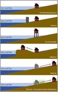 Strategies include doing nothing, Protect (seawalls, levees, etc.), Accomodate (elevating structures or insurance), Advance (building a buffer out into the ocean), Retreat (moving away from the coast), and Ecosystem-based Adaptation.