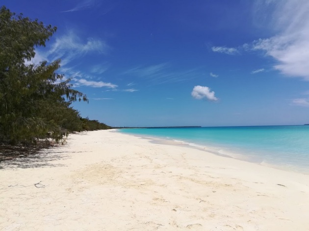 Plage de carte postale - Végétation à gauche, sable blanc au centre et mer turquoise à droite