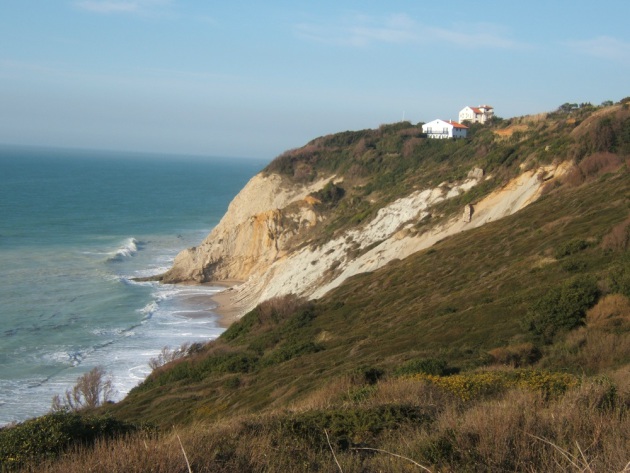 Photo de la falaise avec la lande au premier plan, au second plan deux maisons sont visibles construites proches du bord de la falaise.