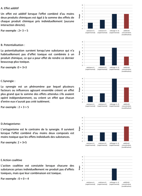 A-Effet additif : Un effet est additif lorsque l'effet combiné d'au moins deux produits chimiques est égal à la somme des effets de chaque produit chimique pris individuellement (aucune interaction directe). B-Potentialisation : La potentialisation survient lorsqu'une substance qui n'a habituellement pas d'effet toxique est combinée à un produit chimique, ce qui a pour effet de rendre ce dernier beaucoup plus toxique. C-Synergie : La synergie est un phénomène par lequel plusieurs facteurs ou influences agissant ensemble créent un effet plus grand que la somme des effets attendus s'ils avaient opéré indépendamment, ou créent un effet que chacun d'entre eux n'aurait pas créé isolément. D-Antagonisme : L'antagonisme est le contraire de la synergie. Il survient lorsque l'effet combiné d'au moins deux composés est moins toxique que les effets individuels des substances. E-Action coalitive : L'action coalitive est constatée lorsque chacune des substances prises individuellement ne produit pas d'effets toxiques, mais que leur combinaison est toxique.