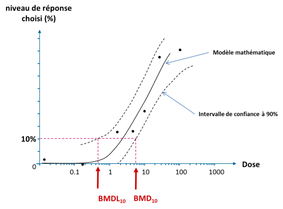 Sur le même schéma que précédemment, mise en valeur de la partie sous les 10% avec deux marqueurs entourant la courbe. Le premier est le point de jonction entre la courbe BMDL (BMDL10) et la barre des 10%. Le second point est la jonction entre la courbe BMD (BMD10) et la barre des 10%.