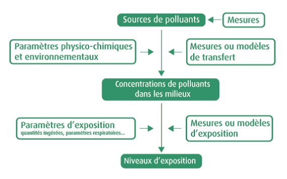 Éléments nécessaires à la caractérisation des expositions. Mesures >Sources de polluants. paramètres physico-chimiques et environnementaux /mesures ou modèles de transfert. Concentration de polluants dans les milieux. Paramètres d'exposition / Mesures ou modèles d'exposition. Niveaux d'exposition.