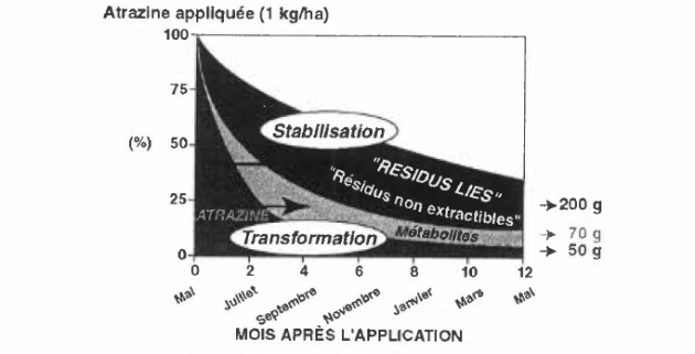 Atrazine appliqu&eacute;e (1kg/ha) Stabilisation/Transformation selon les mois apr&egrave;s l'application.