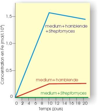 La figure 015 montre que le fer constitutif de particules de sol (hornblende) peut &ecirc;tre solubilis&eacute; par la bact&eacute;rie Streptomyces (ph&eacute;nom&egrave;ne d'alt&eacute;ration)
