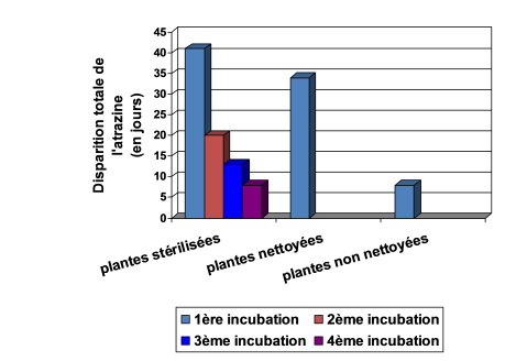 Histogramme avec les plantes st&eacute;rilis&eacute;es &agrave; 40Jours&nbsp;; les plantes nettoy&eacute;es &agrave; ~32Jours&nbsp;; les plantes non nettoy&eacute;es &agrave; ~7Jours