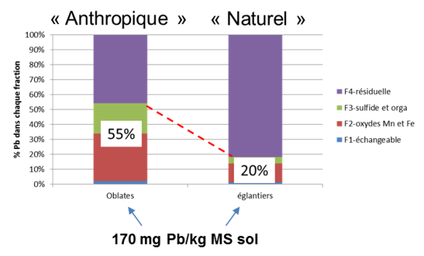 Histogramme "Anthropique" dans le jardins des Oblates et "Naturel"dans le jardin des Eglantiers. 55% de plomb (F3-sulfide et orga, F2-oxydes Mn et Fe, F1-&eacute;changeable) pour le jardin des oblates et 20% de plomb (F3-sulfide et orga, F2-oxydes Mn et Fe, F1-&eacute;changeable) pour le jardin des &eacute;glantiers. Laissant respectivement 45% et 80% F4-r&eacute;siduelle.