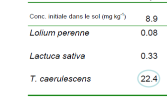 Lolium perenne 0.08&nbsp;; Lactuca sativa 0.33&nbsp;; T.caerulescens 22.4