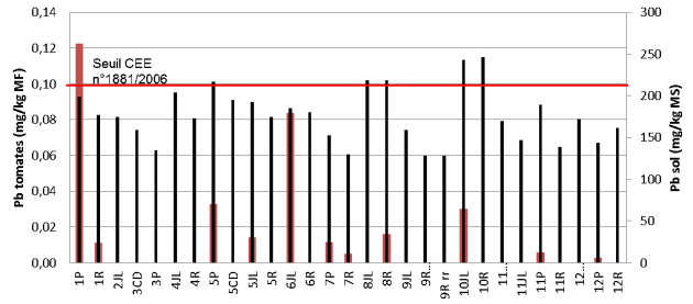 Histogramme des teneurs en Plomb dans les tomates dont le seuil CEE n&deg;1881/2006.