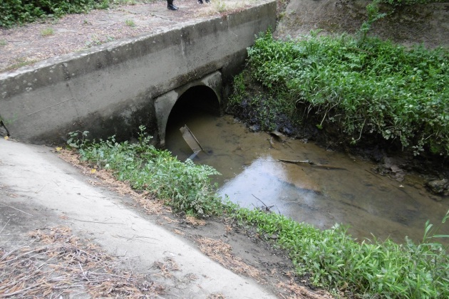 Chemin surplombant une sortie de canalisation avec ruisseau et déchets au fond du fossé.